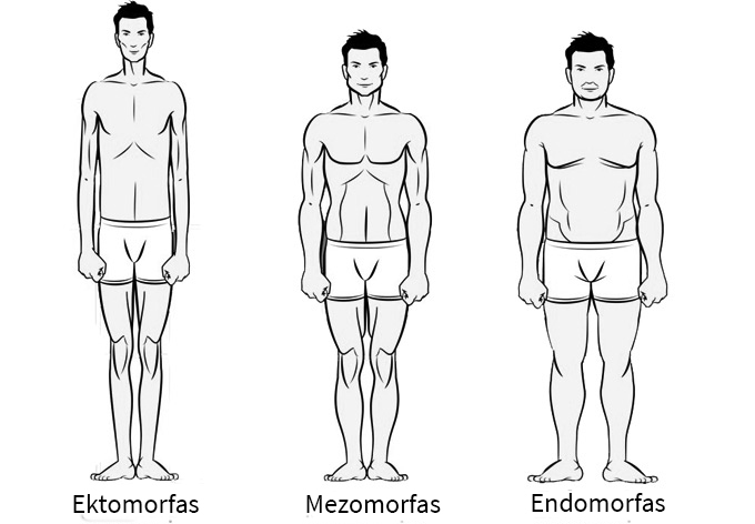 Vyrų kūno tipai